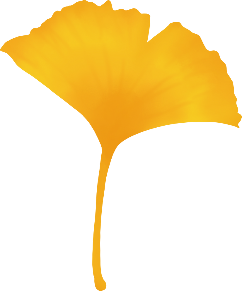 Watercolor Ginkgo Leaf